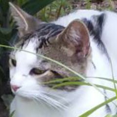 Profile Picture of John Bohon401 (@johnbohon2) on Tiktok