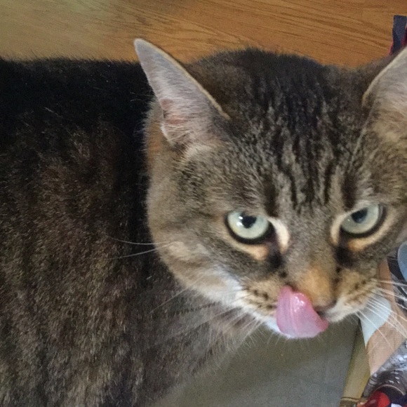 Profile Picture of Aaron Cole (@aaroncole929) on Poshmark