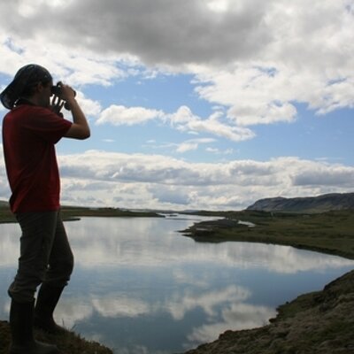 Profile Picture of José A. Alves (@_JoseAAlves_) on Twitter