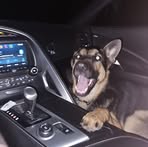 Profile Picture of James Stigers (@james.stigers.10) on Facebook