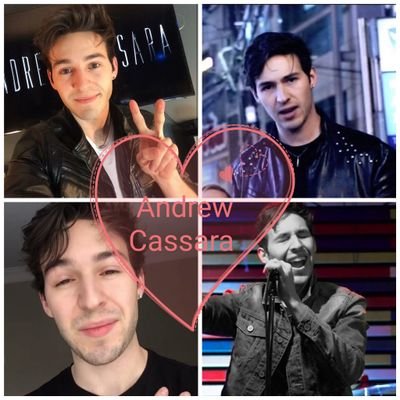 Profile Picture of Andrew Cassara Fan (@AndrewFans81) on Twitter