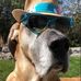 Profile Picture of Gary Shank (@gary.shank.984) on Facebook