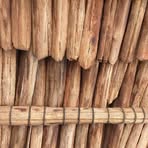 Profile Picture of Dina Andrade (@Dina-Andrade) on Facebook