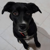 Profile Picture of Mayra Restrepo (@mayrarestrepo7629) on Youtube