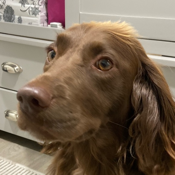 Profile Picture of Ella Moore (@ellamoore572) on Poshmark