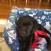 Profile Picture of Ruby Shelton (@ruby.shelton.98499) on Facebook