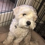 Charlie Emery - Instagram Profile Picture of Charlie Emery (@charlie._emery) on Instagram