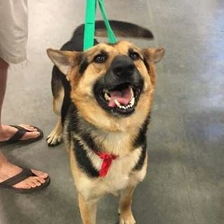 Profile Picture of Gabriel Brabant (@gabriel.brabant.7) on Facebook