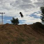 Profile Picture of Cale Collins (@leafy_green6) on Instagram