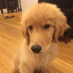 Profile Picture of Becker (@randall_thrives) on Instagram