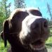 Profile Picture of Eric Ristad (@eric.ristad) on Facebook