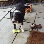 Profile Picture of Paula Byrne (@paulajbyrne) on Instagram