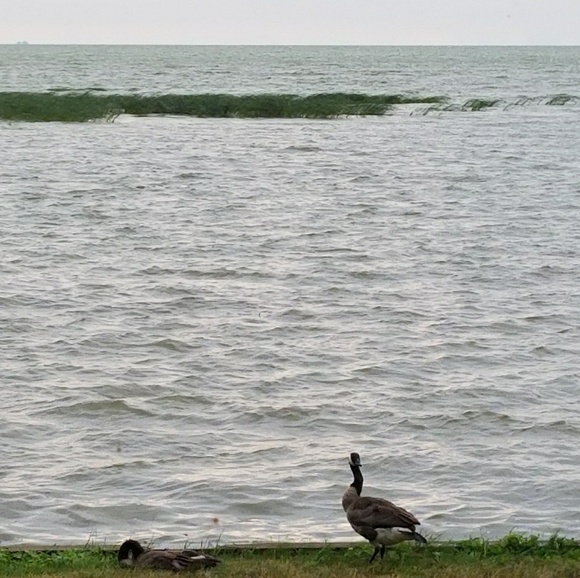 Profile Picture of Jerry Walkowski (@walkowski1) on Poshmark