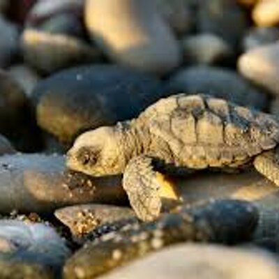 Patrik.vincetic - Twitter Profile Picture of Patrik.vincetic (@PatrikVin10) on Twitter