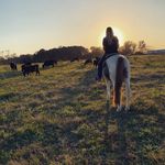 Profile Picture of Lisa shields (@lisa_louuuuu007) on Instagram