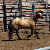 Profile Picture of Amanda Abbott (@user-ni5fk1dz9h) on Youtube