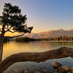 Profile Picture of Alex Winfield (@_alex_winfield) on Instagram