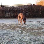 Profile Picture of johnathansutton2003 (@johnathansutton2003) on Instagram