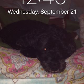 Ernie Schaad - Facebook Profile Picture of Ernie Schaad (@ernie.schaad) on Facebook