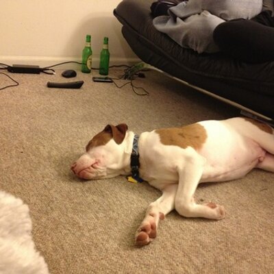 Profile Picture of Josh Pauley (@JRPauley) on Twitter