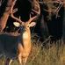 Profile Picture of John Paugh (@john.paugh.374) on Facebook
