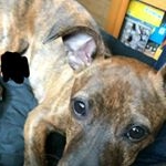 Profile Picture of Keith Saidler (@bazookamanty) on Instagram