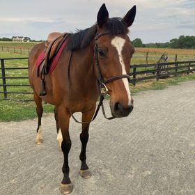 Profile Picture of Victoria Hester (@trentonzmommy) on Pinterest