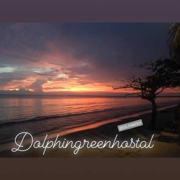 Profile Picture of Dolphin Green (@dolphingreen) on Poshmark