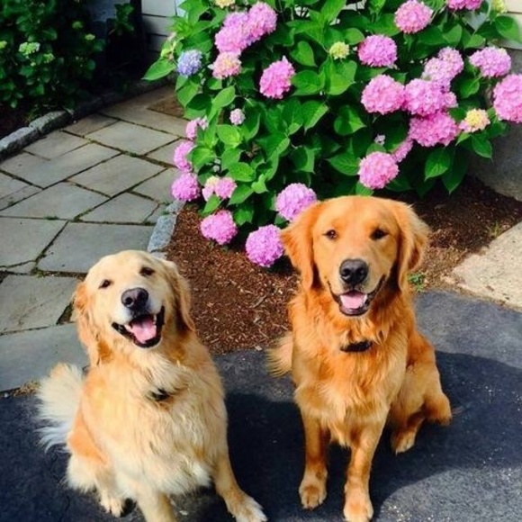 Profile Picture of Robin Delbene (@rrdelb) on Poshmark