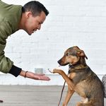 Profile Picture of ANDREW ALLEN (@andrewallencmh) on Instagram