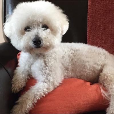 Stuart Baimel - Twitter Profile Picture of Stuart Baimel (@stuartbaimel) on Twitter