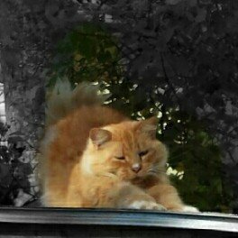 Profile Picture of Joe Knowlton (@JoeKnowlton2) on Twitter