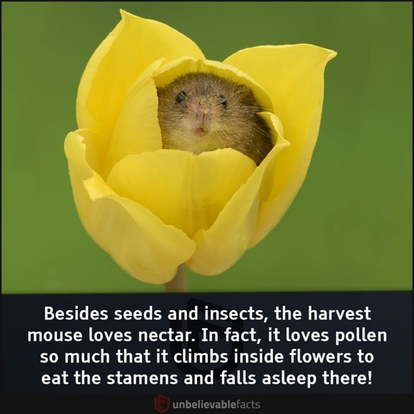 Gill Cordwell - Poshmark Profile Picture of Gill Cordwell (@lazydaisy01) on Poshmark