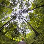 Profile Picture of Manoj Soni  (@chalta_firta) on Instagram