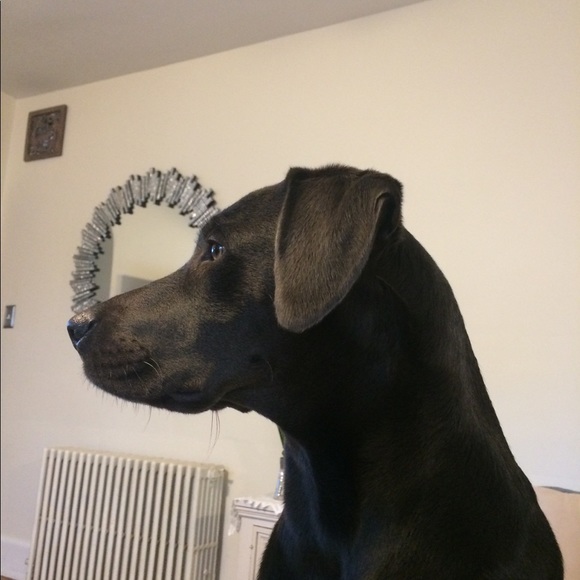 Profile Picture of Christina Plonski (@christinaplonsk) on Poshmark