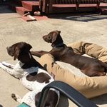 Profile Picture of Lisa Carnevale (@lisa.carnevale.5074) on Instagram