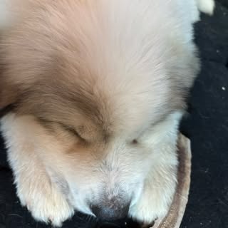 Profile Picture of Jesse Gage (@jessegage) on Instagram