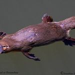 zachary schoen - Instagram Profile Picture of zachary schoen (@zacharyschoen8996) on Instagram