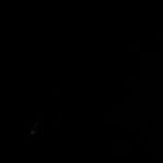 Profile Picture of Matt Gray 🇯🇲 (@mattgrayyy) on Instagram