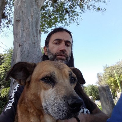 Profile Picture of José Pedroso (@zecollar) on Twitter
