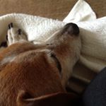 Profile Picture of Karla Thoennes (@karlathoennes) on Instagram