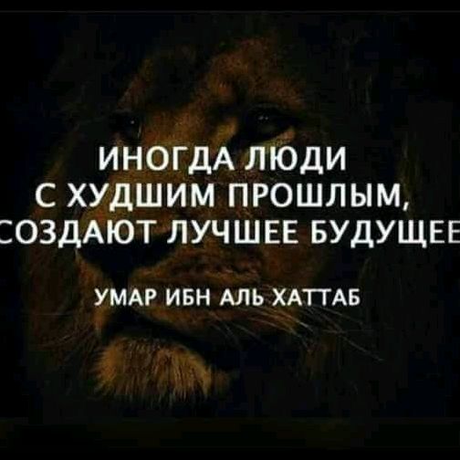 Profile Picture of troylayf (@troylayf) on Tiktok