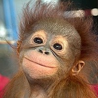 Profile Picture of Joshua Garry (@joshua-garry) on Quora