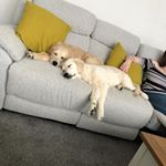 Profile Picture of Daniel Kidson (@daniel.kidson) on Instagram