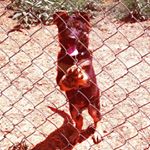 Profile Picture of omar bautista (@omarbautista98) on Instagram