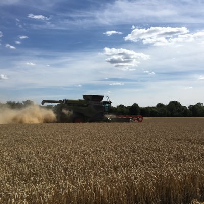 Profile Picture of Freddie Grant (@freddie_grant) on Twitter