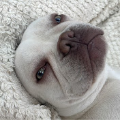 Profile Picture of William Timkey (@WilliamTimkey) on Youtube