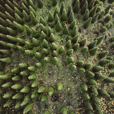 Profile Picture of Mary Pat Mattson (@marypat2020) on Twitter