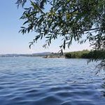 Profile Picture of Hanspeter Haldemann (@hanspeterhaldemann) on Instagram