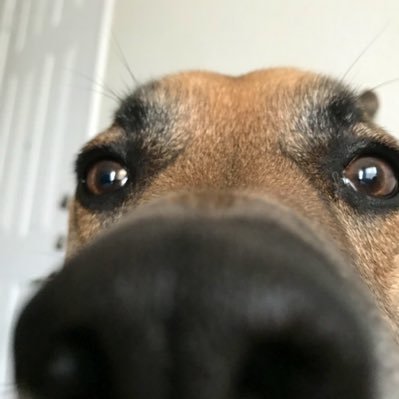 Profile Picture of Matt Henslee (@mattball850) on Twitter